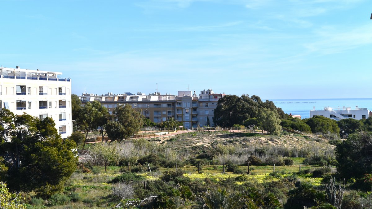 slider-listing