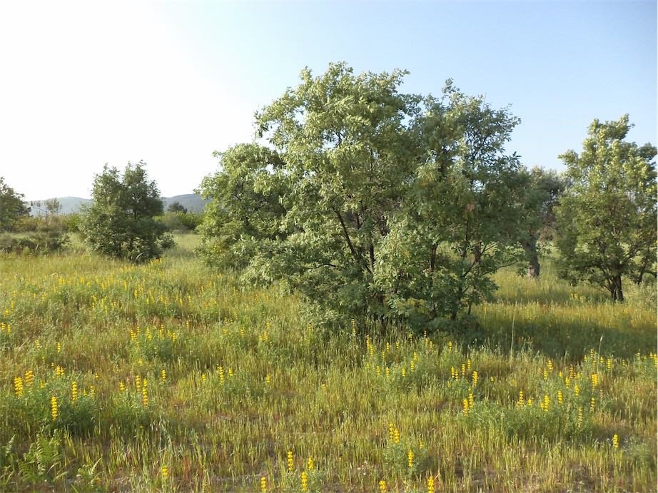 slider-listing