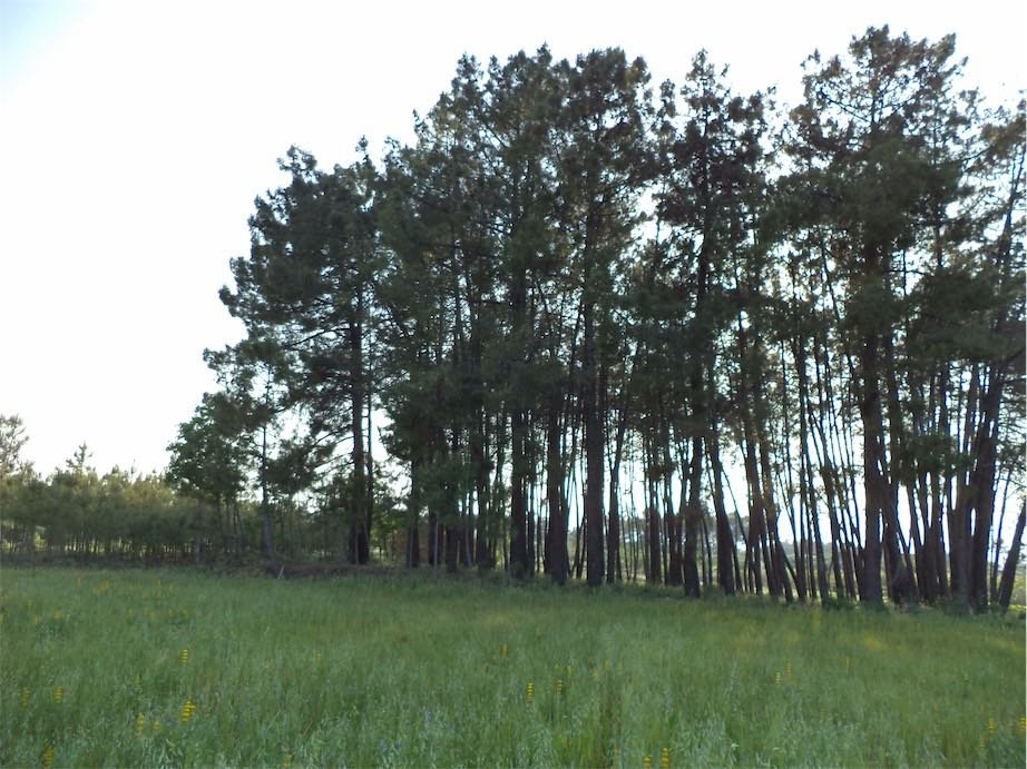 slider-listing