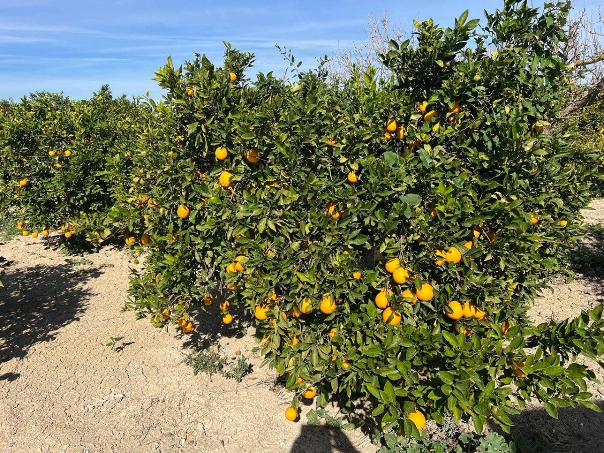 slider-listing
