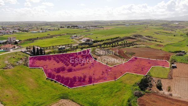 slider-listing