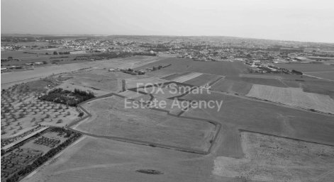 42818