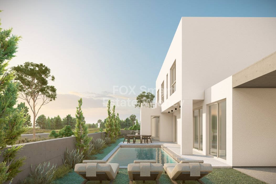 45554