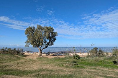 slider-listing
