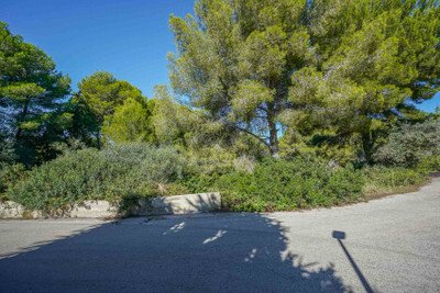 slider-listing