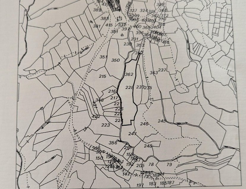 243362