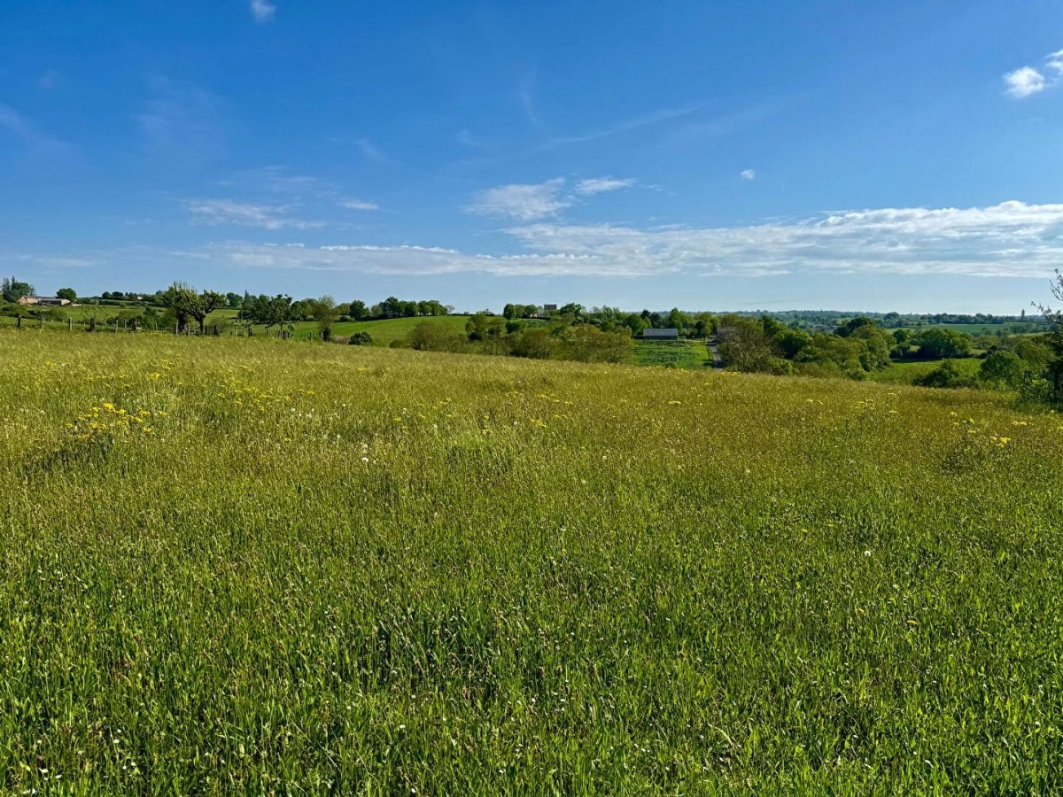 31596